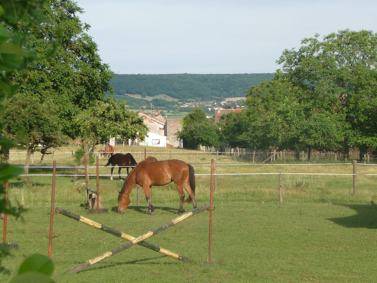 Le Chateau Bed & Breakfast Champagny-sous-Uxelles Eksteriør bilde